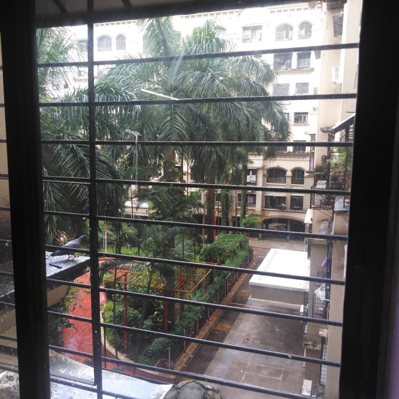 1 BHK 585 Sq.Ft. Apartment in Seth Cypress  CHS