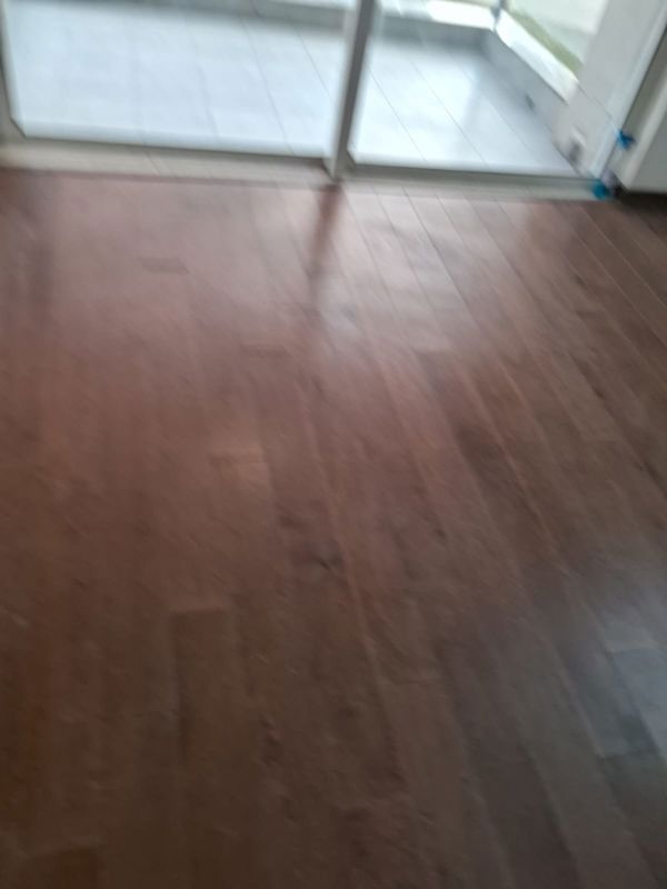 4 BHK Apartment For Rent in BPTP Park Prime
