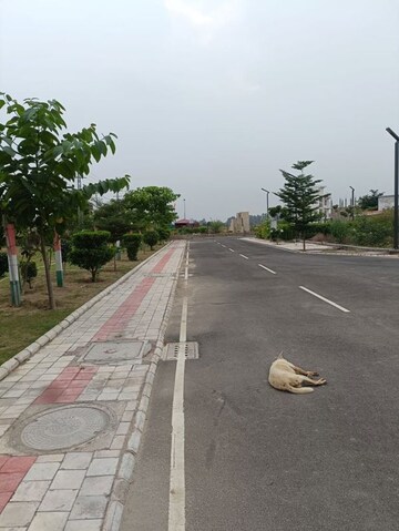  Plot – Exterior View View at SectoR-6 - for Sale