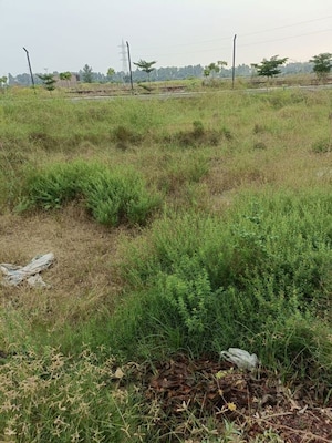 Plot Area in  Plot at SectoR-6 – for Sale