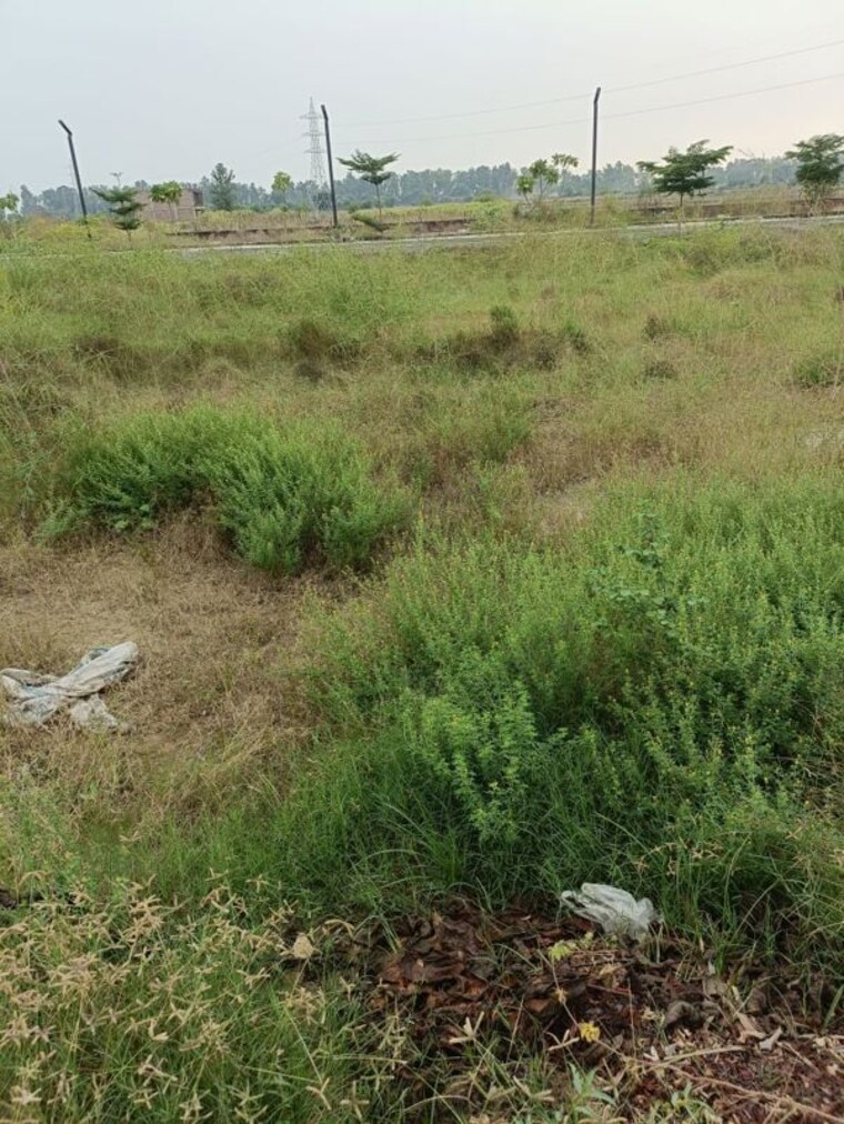 undefined, sector 6  1094 Sq.Ft. Plot In SectoR 6 Jhajjar 9978294