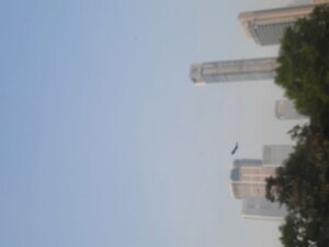  Shop For Rent in Kavya Atlas Tower, Kasarvadavali