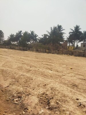 Plot Area in  Plot at Green Woods Layout Yerappanahalli, Yerappanahalli – for Sale