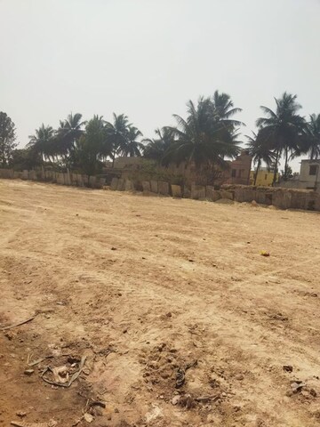 Plot Area in  Plot at Green Woods Layout Yerappanahalli, Yerappanahalli – for Sale