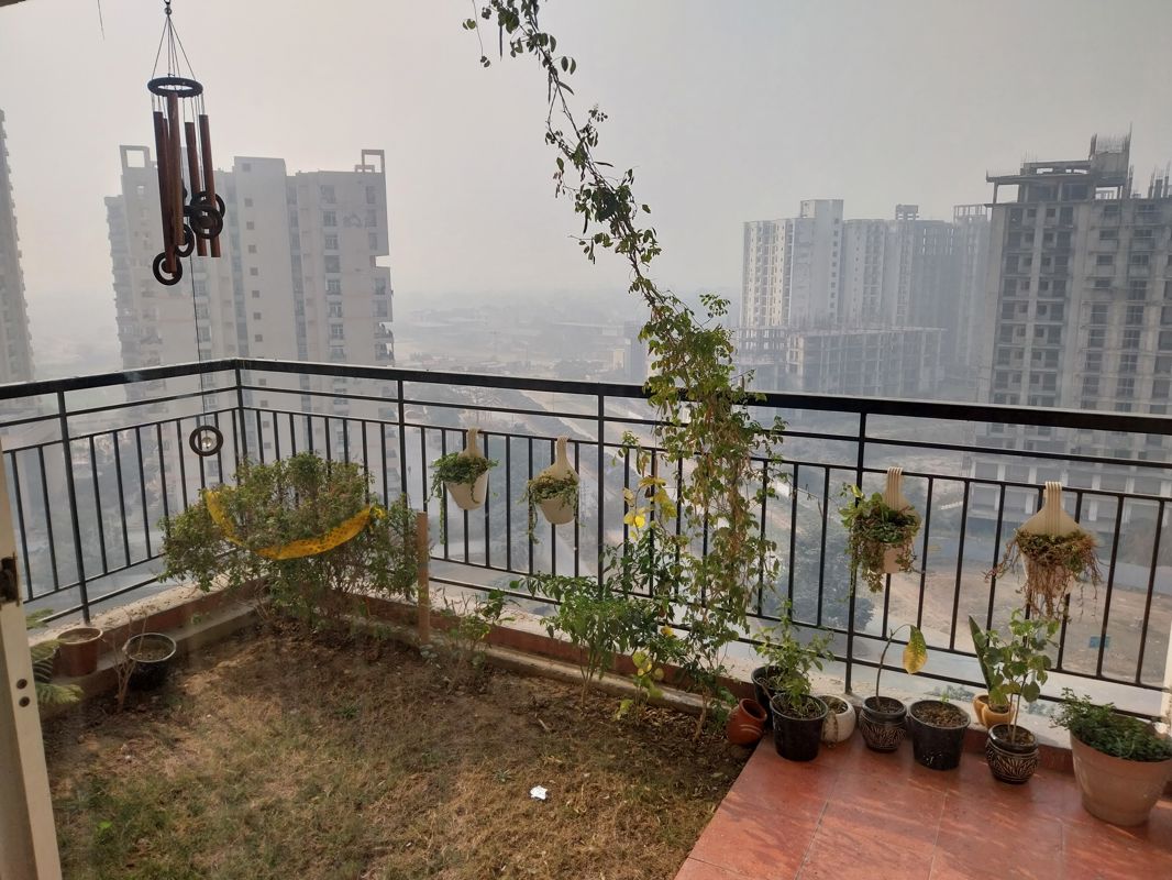 2 BHK Apartment For Rent in ACE Platinum