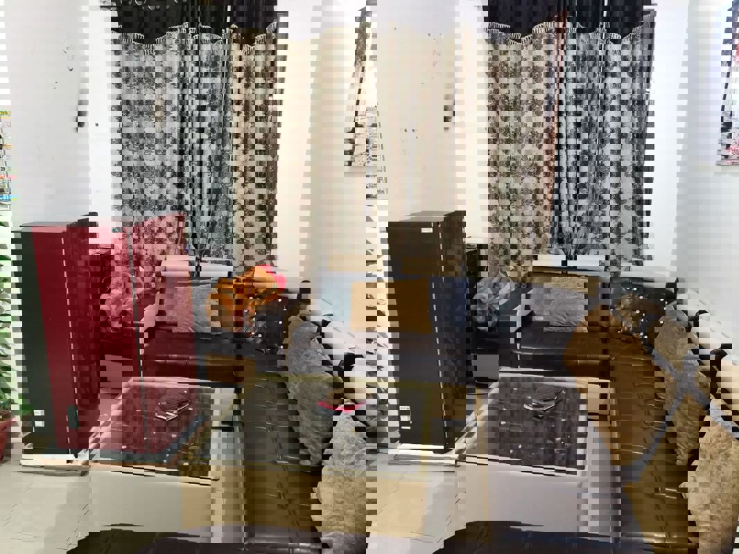 2 BHK + Study Room 1300 Sq.Ft. Apartment in Penta Homes