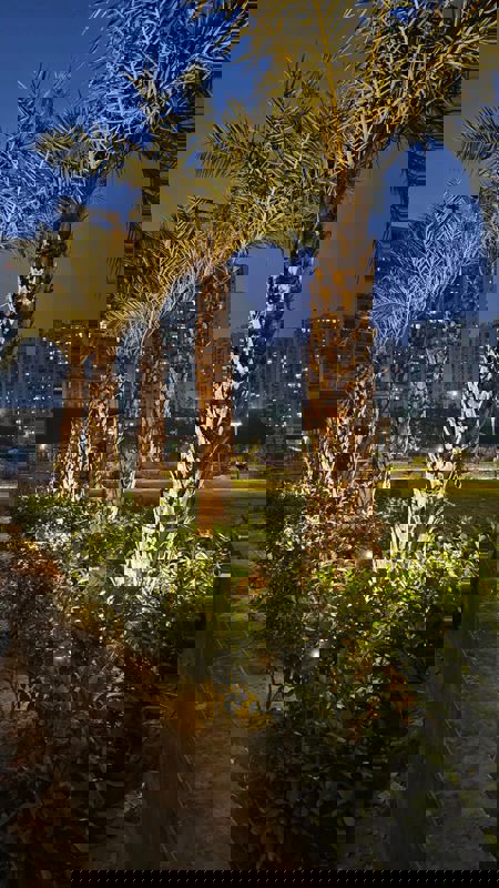 2 BHK 1515 Sq.Ft. Apartment in Eldeco Riviera