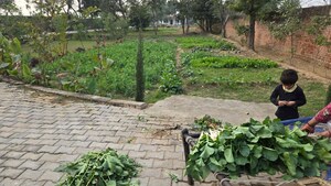  Plot For Sale in Dholera