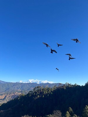 4 BHK Villa – Exterior View View at Ranikhet - for Sale