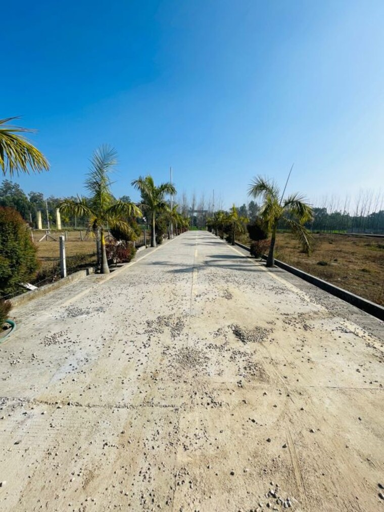 undefined, mohabbewala  300 Sq.Yd. Plot In Mohabbewala Dehradun 9979601