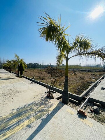  Plot For Sale in Mohabbewala