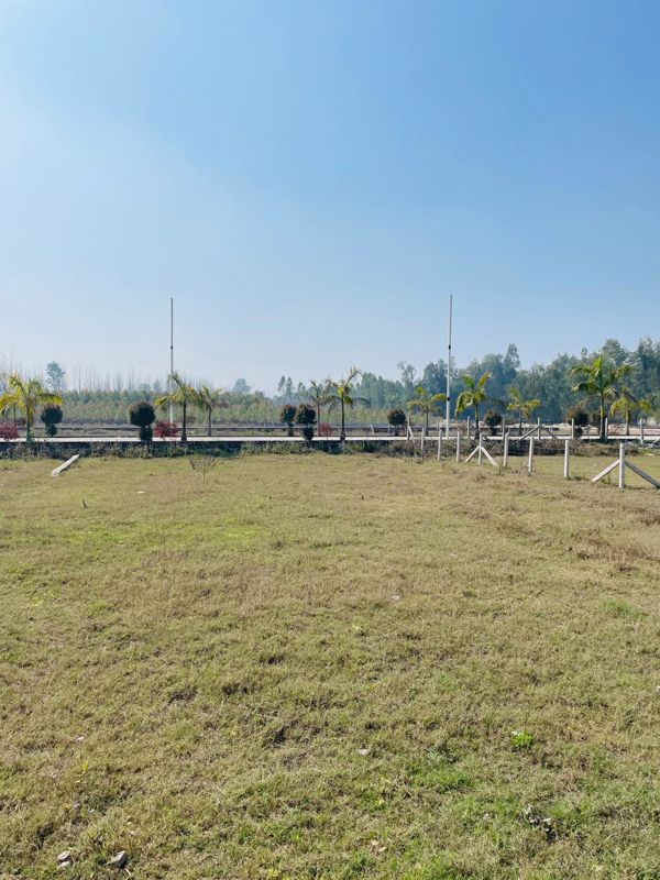 Plot For Sale in Mohabbewala