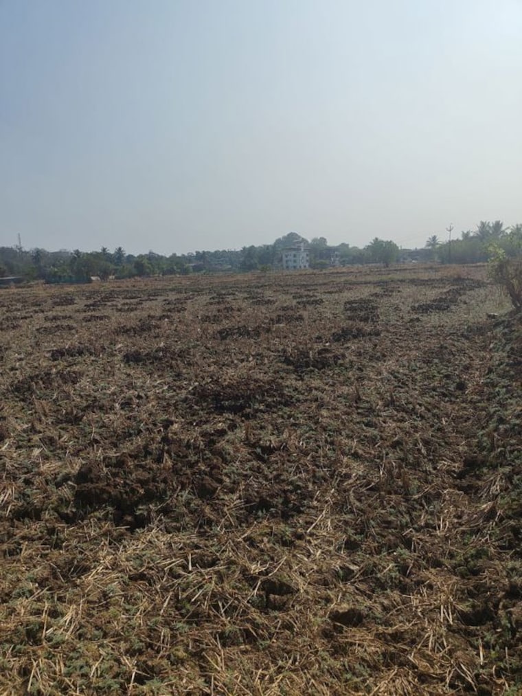 undefined, uran  1000 Sq.Ft. Plot In Uran Navi Mumbai 9979647