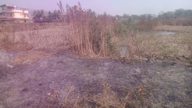 undefined, chirle Commercial Land 1000 Sq.Ft. In Chirle Navi Mumbai 9979681