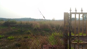 Plot Area in  Plot at Chirle – for Sale