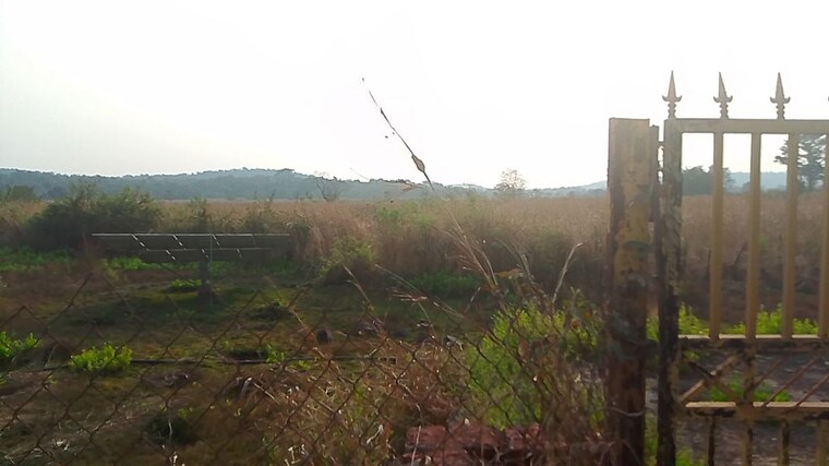 undefined, chirle  1089 Sq.Ft. Plot In Chirle Navi Mumbai 9979709