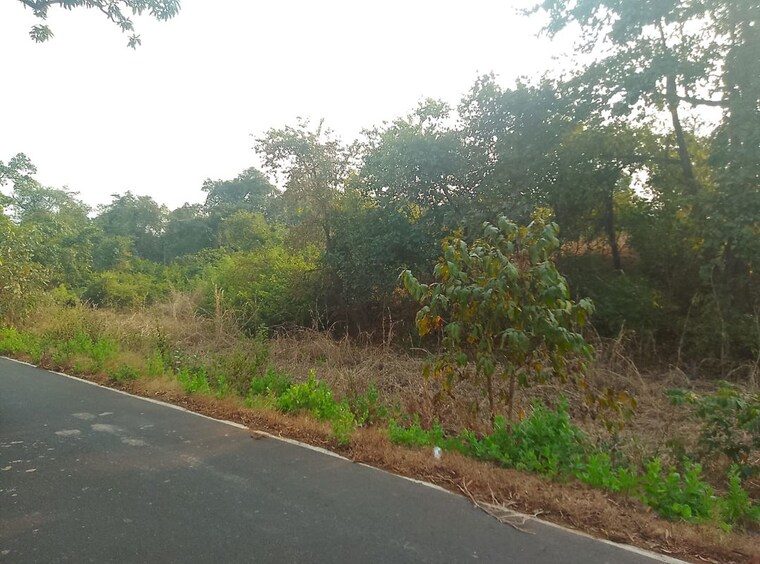 undefined, jasai Commercial Land 1089 Sq.Ft. In Jasai Navi Mumbai 9979717