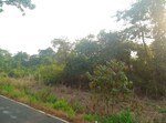 1089 Sq.Ft. Land in Jasai