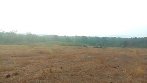 Plot Area in  Plot at Uran – for Sale