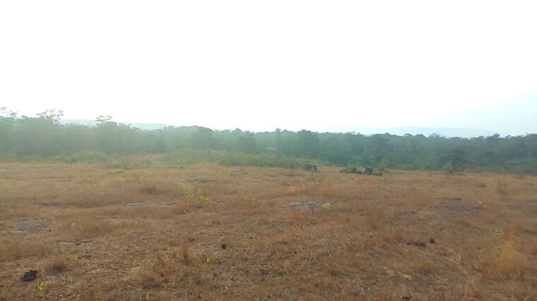 undefined, uran  1089 Sq.Ft. Plot In Uran Navi Mumbai 9979738