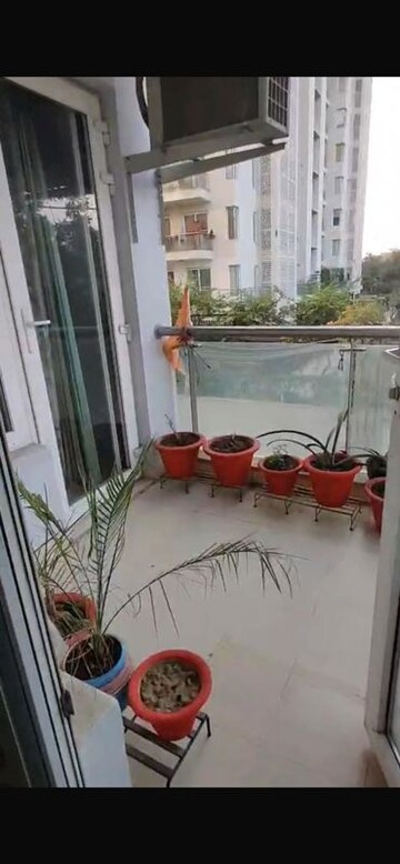 Balcony in 1 BHK Independent House at Gomti Nagar – for Rent