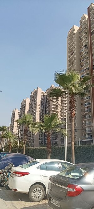 2 BHK Apartment For Rent in Amrapali Dream Valley, Tech Zone 4 Greater Noida