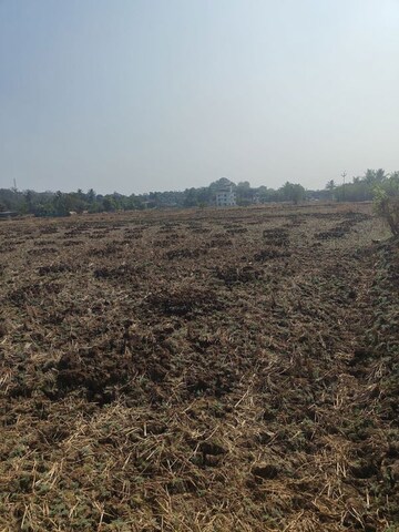 Plot Area in  Plot at Jui – for Sale