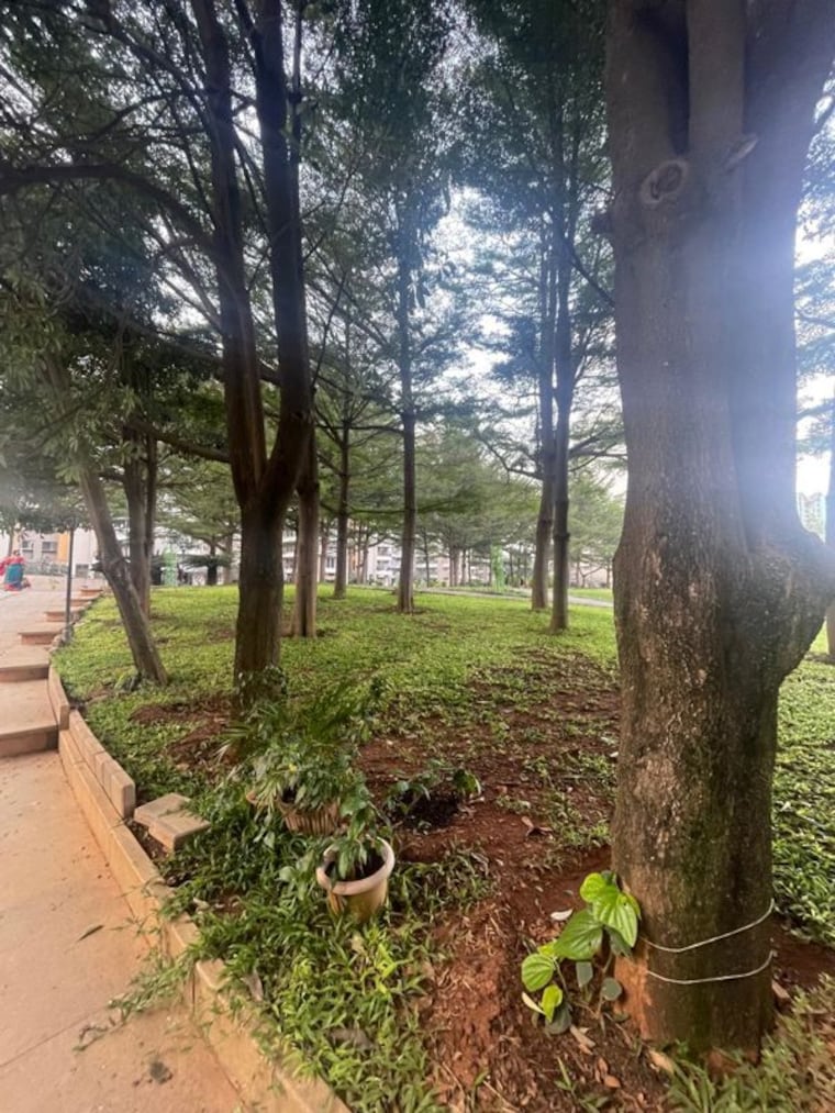 Garden, puravankara-purva-venezia 3 Bedroom 1800 Sq.Ft. Apartment In Yelahanka New Town Bangalore 9979960