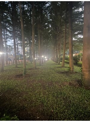 3 BHK Apartment – Garden View at Puravankara Purva Venezia, Yelahanka New Town - for Rent