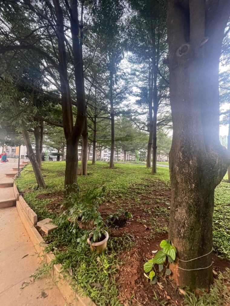 Garden, puravankara-purva-venezia 3 Bedroom 1800 Sq.Ft. Apartment In Yelahanka New Town Bangalore 9979972