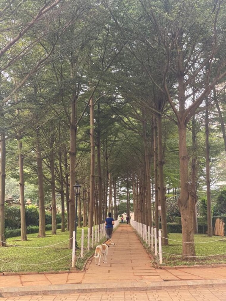 Garden, puravankara-purva-venezia 3 Bedroom 1800 Sq.Ft. Apartment In Yelahanka New Town Bangalore 9979972