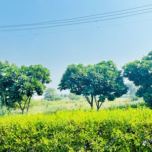  Plot – Garden View at Sector 27 - for Sale