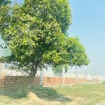 1020 Sq.Ft. Plot in Sector 27