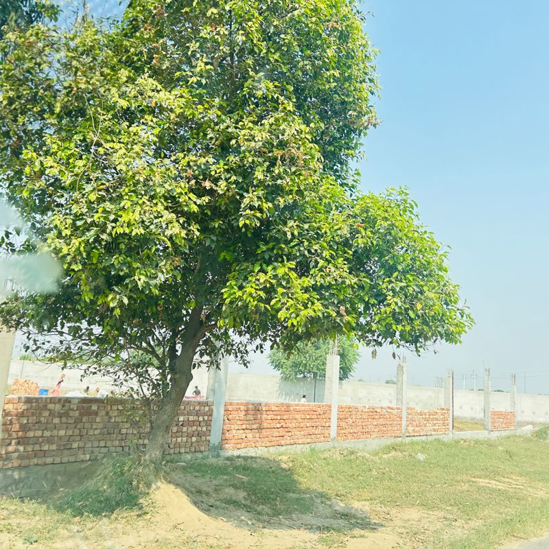 Plot For Sale in Sector 27