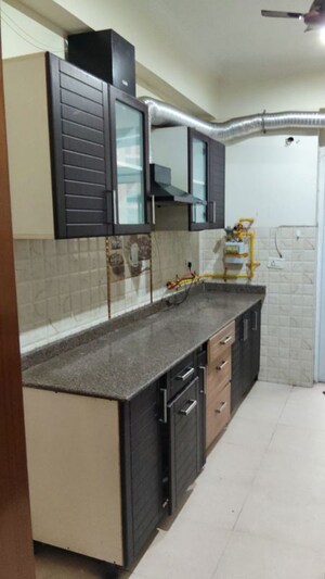 Kitchen in 4 BHK Apartment at Amrapali Eden Park, Sector 50 – for Rent