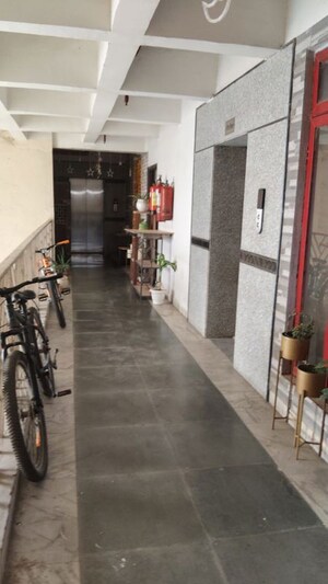  3 BHK Apartment at Amrapali Eden Park, Sector 50 – for Rent