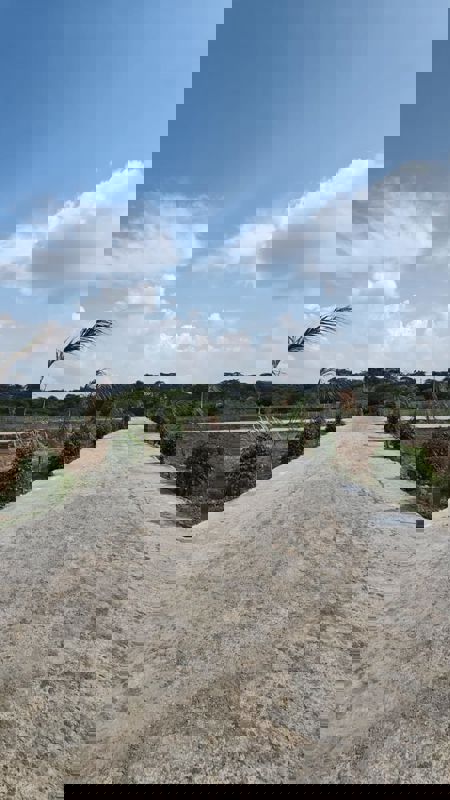  Plot For Sale in Sector 89