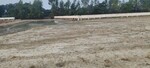 1820 Sq.Ft. Plot in DLF Garden City