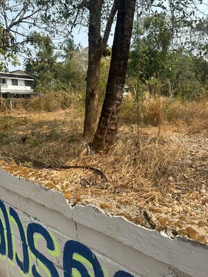 Plot Area in  Plot at Ramavarmapuram – for Sale