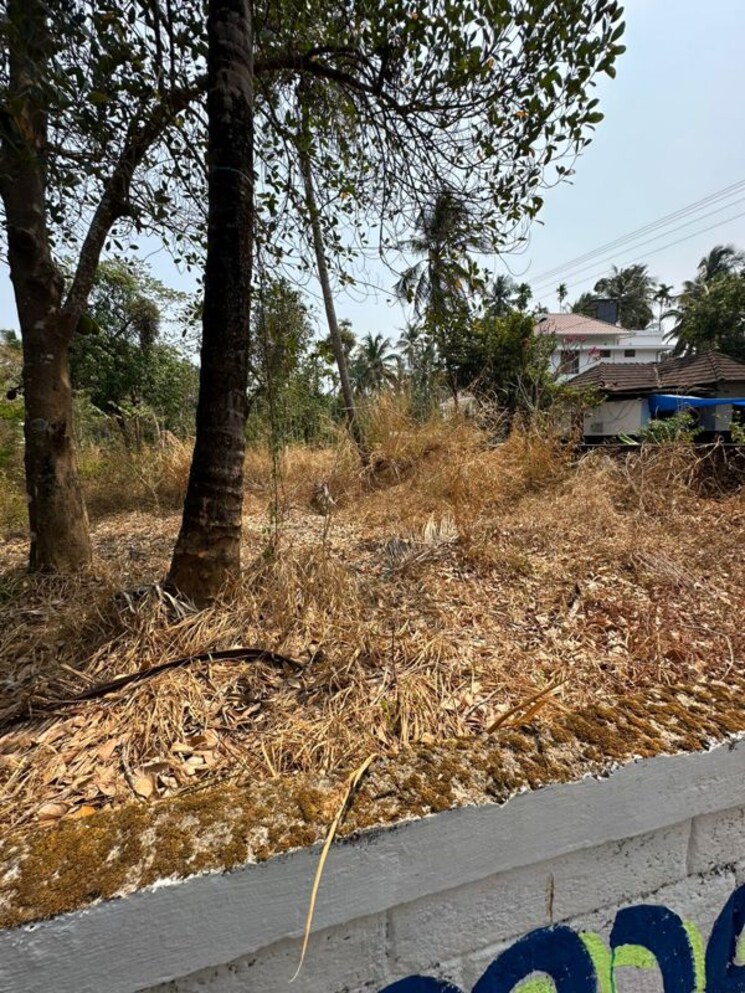 undefined, ramavarmapuram  5445 Sq.Ft. Plot In Ramavarmapuram Thrissur 9981041
