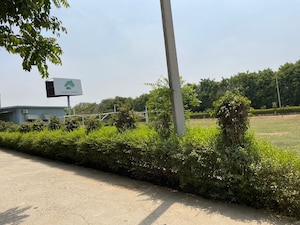 Plot Area in  Plot at Sector 82 – for Sale