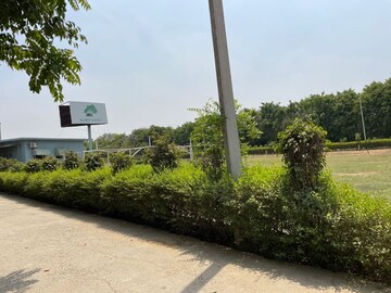 Plot Area in  Plot at Sector 82 – for Sale