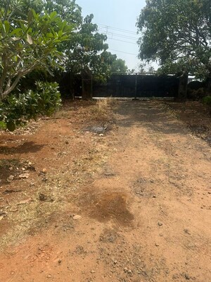  Plot For Sale in Ramavarmapuram
