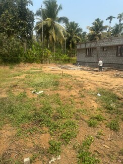 Plot For Sale in Kolazhy