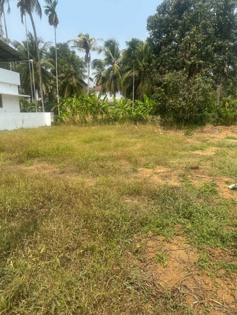 Garden, kolazhy  3594 Sq.Ft. Plot In Kolazhy Thrissur 9982571