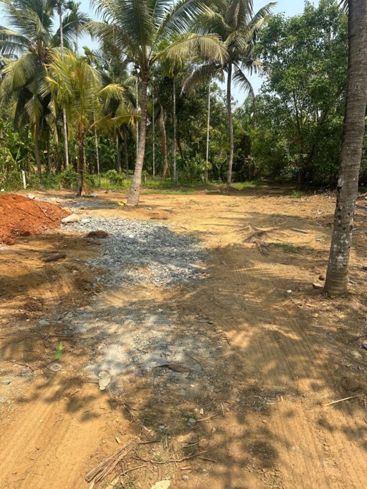 undefined, kolazhy  3594 Sq.Ft. Plot In Kolazhy Thrissur 9982571
