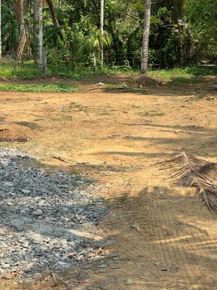 undefined, kolazhy  3594 Sq.Ft. Plot In Kolazhy Thrissur 9982571