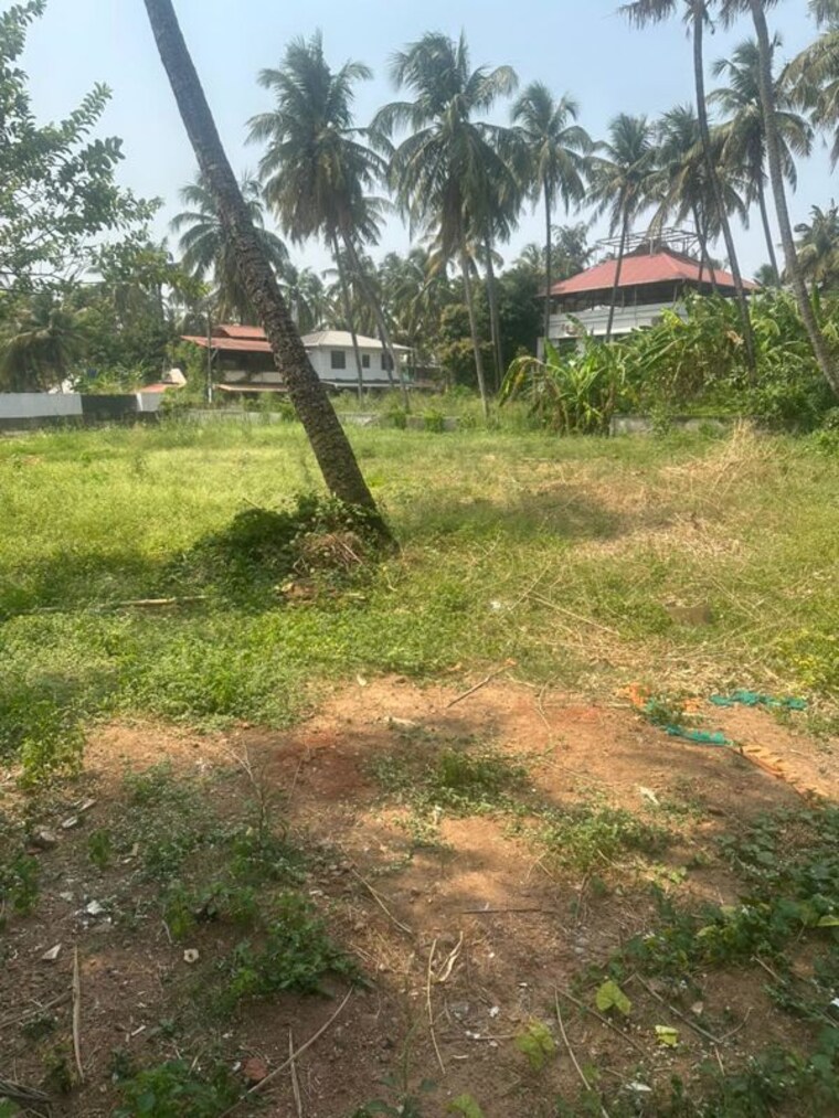 Garden, west fort  3049 Sq.Ft. Plot In West Fort Thrissur 9982747