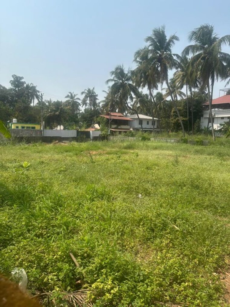 Garden, west fort  3049 Sq.Ft. Plot In West Fort Thrissur 9982747