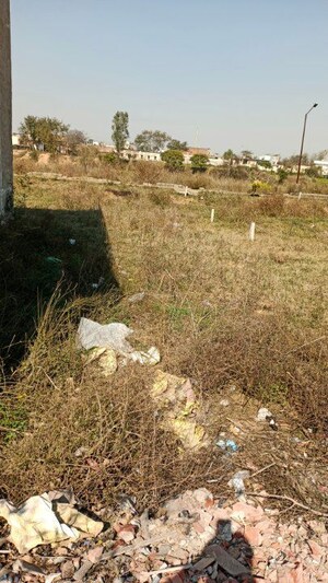 Plot Area in  Plot at Dera Bassi – for Sale